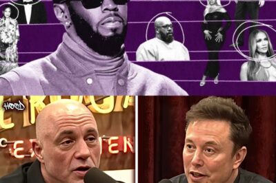 Diddy’s Dark Secrets EXPOSED: Joe Rogan & Elon Musk Reveal Which Celebs Fled The Country To Escape His Wrath
