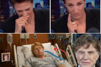 TEARFUL TRIBUTE: Rachel Maddow’s voice cracked with emotion as she honored Robert Redford, the legendary actor, director, and Sundance visionary who has died at 89. A Hollywood titan of rare charisma, his passing leaves an unfillable void as friends, fans, and stars unite worldwide to mourn the cinematic legend forever.