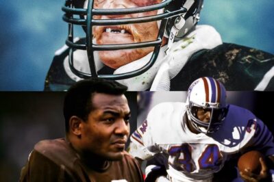 NFL’s Terrifying Ten: The Most Feared Players Who Redefined Hard-Hitting Football