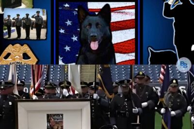 Texas Police Dog Laid to Rest, Mother K9 Offers Final Tribute
