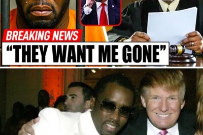 The Fall of an Empire: Diddy Faces Life Sentence After Alleged Pardon Refusal from Donald Trump