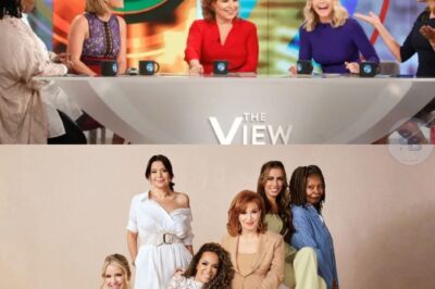 🚨 THE VIEW STRIKES BACK: After weeks of swirling rumors about cancellation, ugly feuds, and behind-the-scenes collapse, ABC just dropped a jaw-dropping comeback announcement no one predicted. Secret deals, surprise faces, and whispers of a total reinvention are sending shockwaves through television. Fans are left stunned, insiders in chaos.