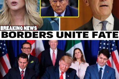 Trump’s “Divide and Conquer” Strategy Backfires as Canada and Mexico Forge Unprecedented Alliance, Reshaping North American Future