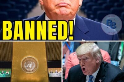 Trump Banned from United Nations After “Disastrous” Speech: Global Leaders Decry “Humiliation” on World Stage