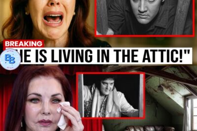 Elvis Presley’s Attic Was Opened After 48 Years – And Who’s Inside Is Shocking