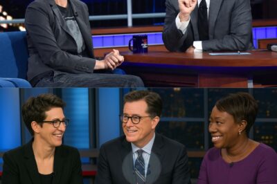 🔥 WHAT IF: Three unstoppable voices—Maddow, Colbert, and Reid—joining forces outside the grip of corporate media? Rumors swirl of a secret newsroom designed to rewrite journalism’s future, challenge entrenched power, and spark the fiercest media war of the decade. Networks tremble at even the thought—could this fantasy soon turn real?