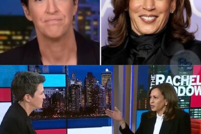 🚨 RACHEL MADDOW EXCLUSIVE: In her long-awaited sit-down with Kamala Harris, Maddow pressed hard on Jimmy Kimmel’s suspension, billionaire influence, and the silence surrounding Washington’s biggest controversies. But fans were left divided—was Harris bold enough about America’s future, or did this historic interview reveal more about the past than tomorrow?