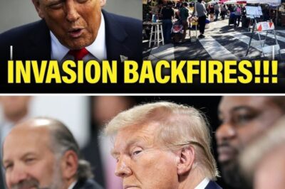 Trump’s “War Zone” Lie Exposed: A Cascade of Chaos, Conspiracy, and Incompetence