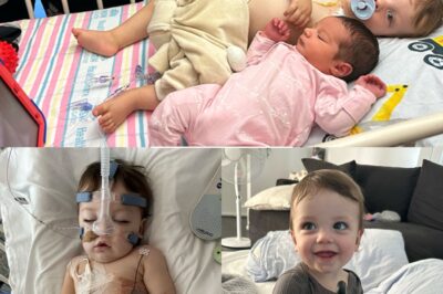 A Little Angel: Huxley’s Fight Against an Aggressive Tumour