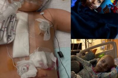 A Journey Through Unimaginable Grief, Fear, and Love