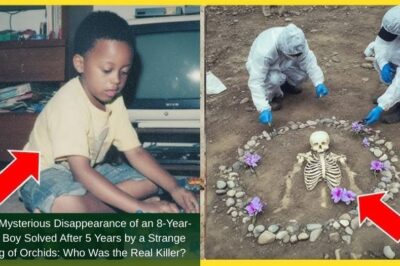 The Mysterious Disappearance of an 8-Year-Old Boy Solved After 5 Years by a Strange Ring of Orchids: Who Was the Real Killer?