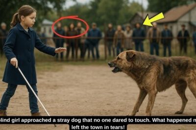 A blind girl approached a stray dog ​​that no one dared to touch. What happened next left the town in tears!