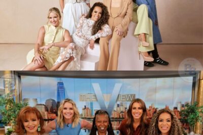 SHOCKING ANNOUNCEMENT: ABC’s CEO has finally dropped the bombshell no one expected—“It’s time to CANCEL the worst show on TV: The View!” After 20 years on air, the network’s stunning decision has left fans furious and critics stunned. What really pushed ABC to pull the plug? The truth is brutal!