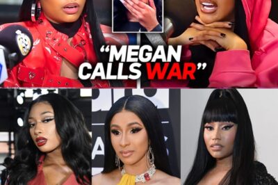 Nicki Minaj & Cardi B’s Shocking Message to Megan Thee Stallion After She THROWS SHADE at Them