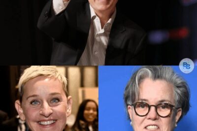 Stephen Colbert says he understands why Rosie O’Donnell and Ellen DeGeneres left the United States—and now he’s considering doing the same after being fired