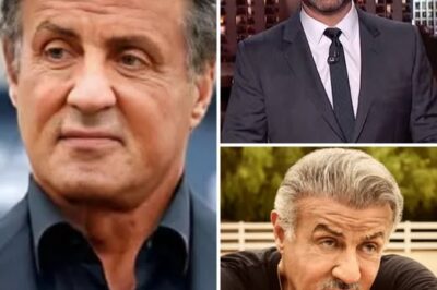 Sylvester Stallone HUMILIATES Jimmy Kimmel in Brutal Showdown—Did This Mark the Beginning of the End for Late-Night Comedy?