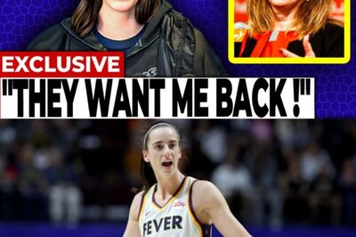 The Post-Caitlin Apocalypse: How the WNBA’s One-Player Gamble Ignited a Crisis and Betrayed Its Biggest Stars