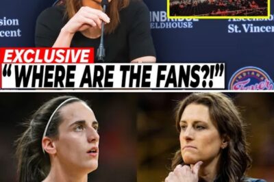 The Post-Clark Plunge: WNBA Ratings Implode, Exposing a League in a Freefall