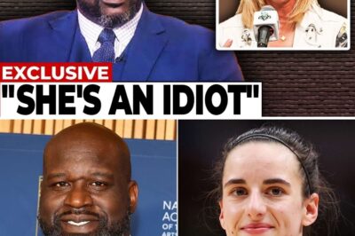 WNBA in Crisis: A Deep Dive into the League’s Alarming Decline Since Caitlin Clark’s Injury