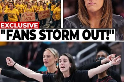 The Collapse: How the Indiana Fever’s Playoff Loss Exposed a Dangerous Over-Reliance on a Single Star