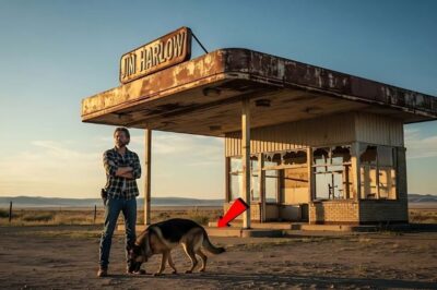 German Shepherd Rex Exposes $200M Hidden Treasure Under a Junk Station