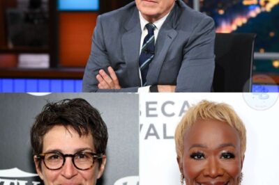 BREAKING: Rachel Maddow, Stephen Colbert, and Joy Reid have joined forces to launch a groundbreaking newsroom free from corporate control and censorship. This bold alliance promises to expose corruption, challenge manipulation, and rewrite the rules of journalism forever. Could this historic collaboration mark the beginning of a brand-new media era?