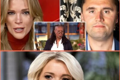 ABC Replaces The View With The Charlie Kirk Show, Hosted by Erika Kirk and Megyn Kelly: “It’s Done”