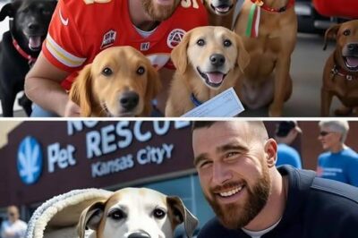 💔 Travis Kelce buys a dog rescue center that’s about to close – but what he did to the dogs has the internet surprised…