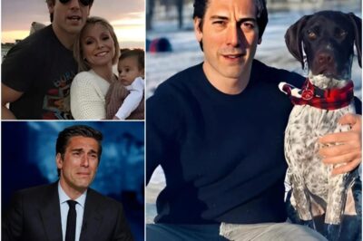 SHOCKING REVELATION: David Muir Breaks Down in Tears Live On Air — Emotional Confession About His True Identity Leaves the Studio Stunned and the World in Disbelief