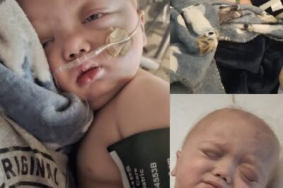 Even in His Fragility, Marcus Teaches Us What Resilience Truly Means