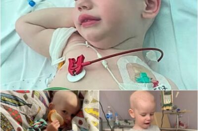 “Save Michaś: A Little Boy Fighting a Deadly Kidney Cancer”