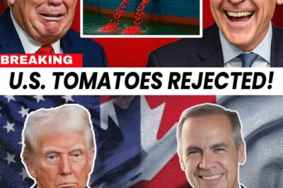 The Collapse of the U.S. Tomato Industry After Canada’s Ban: How Mexico Cashed in on a $12 Billion Payday
