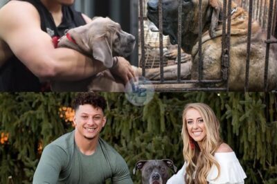 UNBELIEVABLE SHOCKER: NFL Superstar Patrick Mahomes Secretly Rushes Into Animal Shelter on Labor Day Weekend, Personally Pulls 19 Dogs Off the Euthanasia List in a Tearful, Last-Minute Rescue That Stunned Staff, Fans, and the Entire Nation