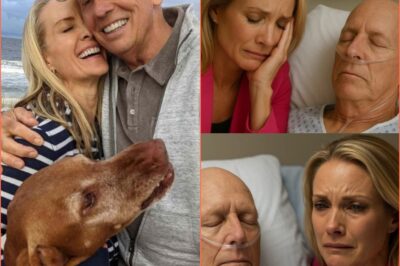 💔 Midnight Emergency Shocks Fox News: Dana Perino Reveals Husband’s Stroke Battle — “I Will Stand Beside Him Through Every Step of This Fight”