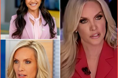 Dana Perino’s Shocking Exit from Fox News: What Led to the Unexpected Departure?