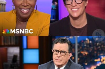 MEDIA REVOLUTION BEGINS: Rachel Maddow, Stephen Colbert, and Joy Reid have detonated a rogue newsroom that vows to end corporate spin forever. No bosses, no scripts, just fearless reporting and satire with teeth. Their launch is already shaking cable giants—fans call it the birth of a new media era.