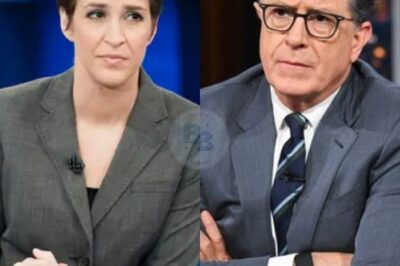 SH0CKWAVE: Maddow, Colbert, and Reid have launched a rogue newsroom that belongs to viewers, not shareholders. With no bosses, no ads, and no scripts, the trio promises fearless reporting and biting satire networks wouldn’t dare touch. Fans celebrate their freedom, while cable giants scramble to contain the rising rebellion.