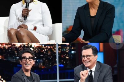 REBEL NEWS ALERT: Maddow, Colbert, and Reid bypass corporate control with a rogue newsroom dedicated to truth. No press, no contracts, just fearless reporting and sharp satire. Fans cheer the independence while networks scramble—this bold launch promises to shake the foundations of cable media and put viewers first