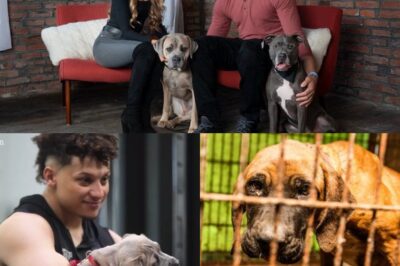 UNBELIEVABLE SHOCKER: NFL Superstar Patrick Mahomes Secretly Rushes Into Animal Shelter on Labor Day Weekend, Personally Pulls 19 Dogs Off the Euthanasia List in a Tearful, Last-Minute Rescue That Stunned Staff, Fans, and the Entire Nation
