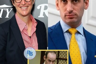 TOTAL DESTRUCTION: Rachel Maddow shocked America by humiliating Stephen Miller live on-air after a bombshell scandal involving his wife erupted. With razor-sharp precision, Maddow shredded his moral arguments, exposing secrets that left him speechless. Viewers erupted online, calling it one of the most brutal televised takedowns in political history.