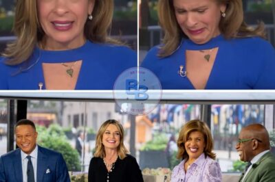 Hoda Kotb Opens Up About the Struggles of NBC Hosts, Alluding to Unequal Treatment
