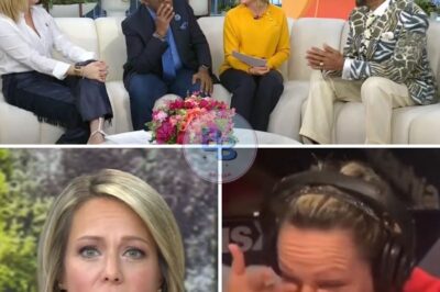 Dylan Dreyer Flustered and Embarrassed After Accusation of Lying Too Much on TODAY