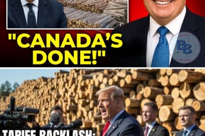 Canada in Shock: Lumber Giants Shut Down Production, Economy Collapses – The Unflinching Truth About Prime Minister Carney’s Role in the Unprecedented Crisis