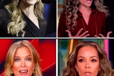 Megyn Kelly Destroys Sunny Hostin’s Fake Persona on Live TV — You Won’t Believe What Happened!