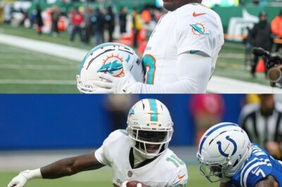 NFL reviewing domestic violence allegations against Dolphins WR Tyreek Hill