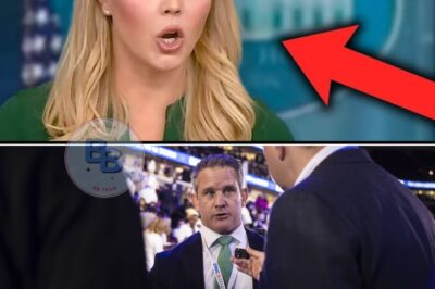 “Caroline Levit Faces the Heat: Press Secretary Sparks Controversy with Bold Responses and Heated Confrontations”