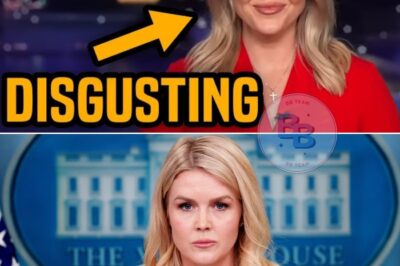 Karoline Leavitt Sparks Controversy on Fox News, Claims Sabotage During Trump’s UN Speech