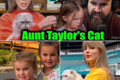 “Cat For Wyatt”: How Jason Kelce’s Podcast Turned Into The Funniest Family Negotiation Of The Year—With Taylor Swift, A Grumpy Gray Cat, And A Live Chat Uprising