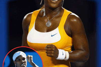 Serena Williams shares what a heckler shouted at her during the 2010 Australian Open final which changed the match