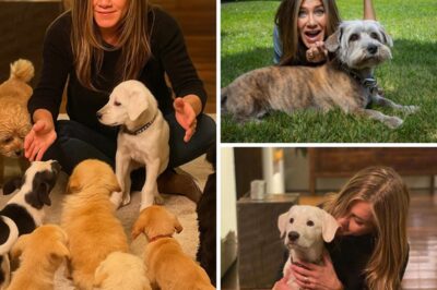 Despite her glamorous life in Hollywood, Jennifer Aniston often visits the animal shelter where she adopted her beloved dog, quietly paying the adoption fees for dozens of families without ever revealing her identity. One volunteer shared, “She always tells us, ‘Every soul deserves a second chance — just like I had.’” It’s a simple act of kindness that reflects a heart far bigger than the fame surrounding her.